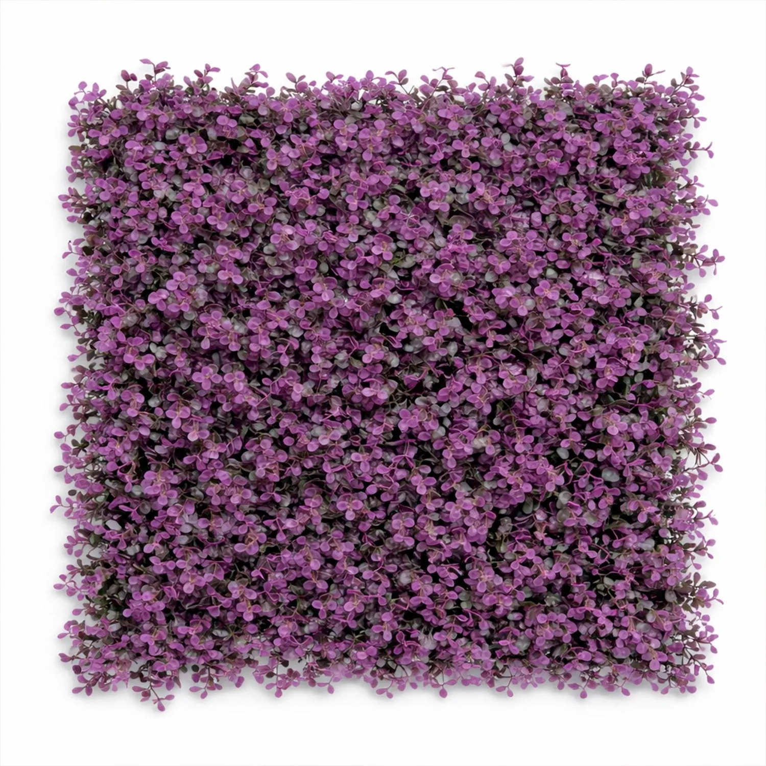 Follaje Arrayan Morado